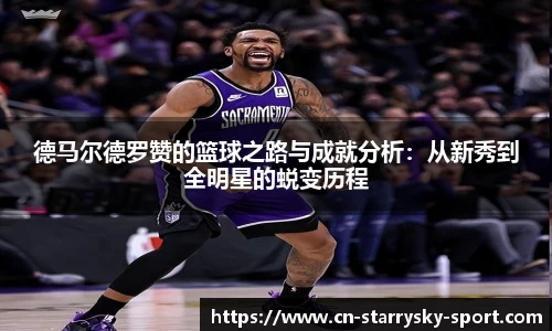 星空体育官网入口