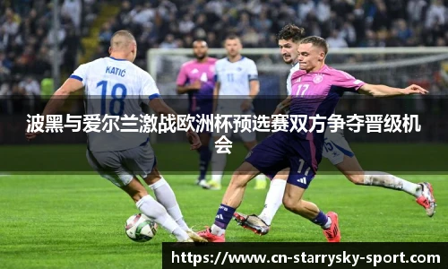 星空体育官网入口